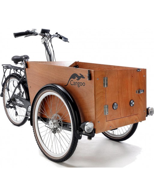 Cangoo Easy Electric cargo bike with door