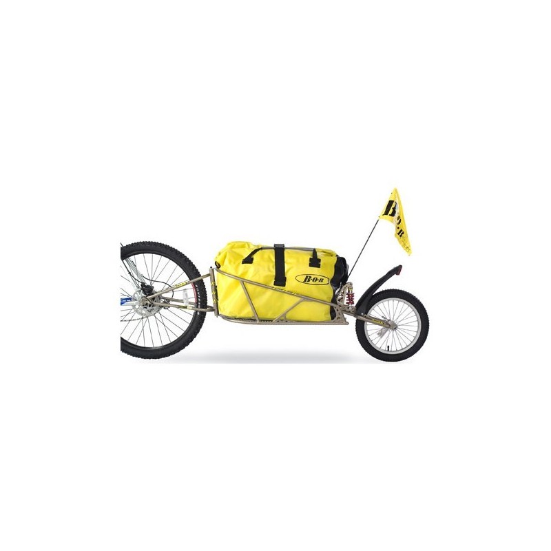 cargo bike system
