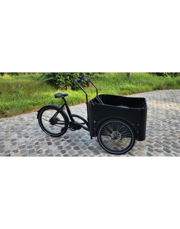 Family cargo bike: our Kid Kit add-on is safe and fun - AddBike
