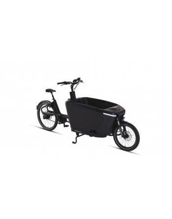 Tenways cargo one bakfiets