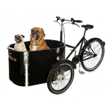 nihola dog electric cargo tricycle for dogs