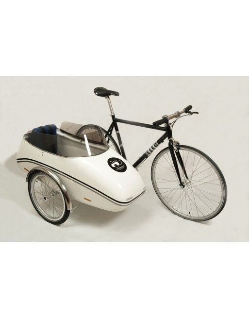 bike chariot